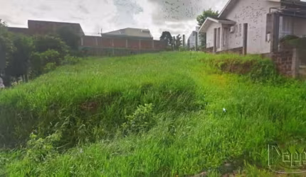 TERRENO Portão Velho Portão