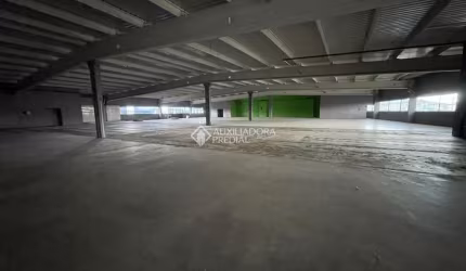 Ponto comercial para alugar na Avenida Caetano Silveira, 101, Jardim Eldorado, Palhoça, 1914 m2 por R$ 61.860