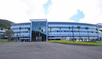 Sala comercial para alugar na Rodovia José Carlos Daux, 5500, Saco Grande, Florianópolis, 80 m2 por R$ 5.600