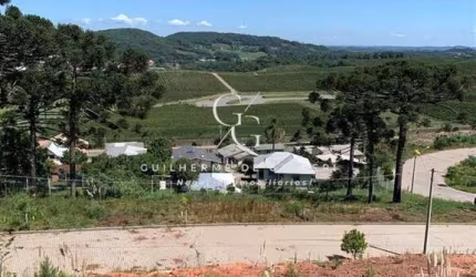 Terreno à venda no Centro, Flores da Cunha  por R$ 299.000