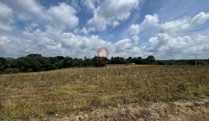 Chácara para Venda em Araucária, Lagoa Suja