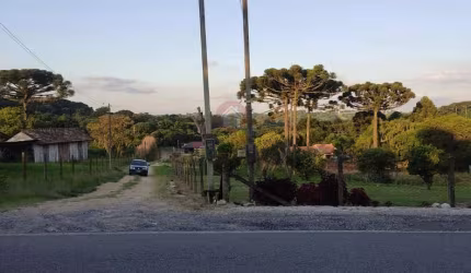 Chácara para Venda em Araucária, Rio Abaixinho
