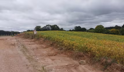 Sítio / Chácara para Venda no bairro Centro em Araucária, Sem Mobília, 24200 m² de área total, 24200 m² privativos,