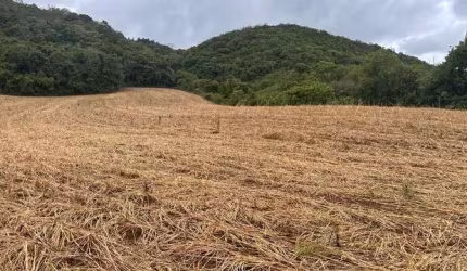 Sítio / Chácara para Venda no bairro Meia Lua dos Freita em Campo Magro, 96800 m² de área total, 96800 m² privativos,