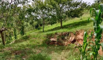 Sítio / Chácara para Venda no bairro São João do Caiva em Lapa, Sem Mobília, 181500 m² de área total, 181500 m² privativos,