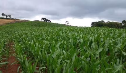 Sítio / Chácara para Venda no bairro QUITANDINHA em QUITANDINHA, 30000 m² de área total, 30000 m² privativos,