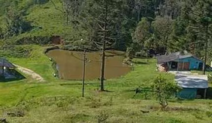 Sítio / Chácara para Venda no bairro Matulao em TIJUCAS DO SUL, 30250 m² de área total, 30250 m² privativos,