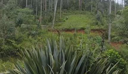 Sítio / Chácara para Venda no bairro RIBEIRÃO DO TIGRE em QUATRO BARRAS, Sem Mobília, 72600 m² de área total, 72600 m² privativos,