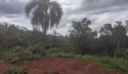 Sítio / Chácara para Venda no bairro SAO SILVESTRE em Campo Largo, Sem Mobília, 174240 m² de área total, 174240 m² privativos,