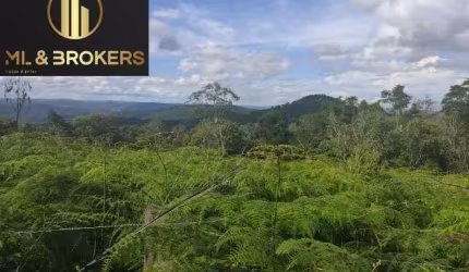 Sítio / Chácara para Venda no bairro SAO SILVESTRE em Campo Largo, 20000 m² de área total, 20000 m² privativos,