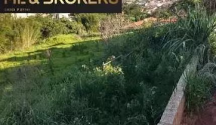 Terreno para Venda no bairro CENTRO em JACAREZINHO , Sem Mobília, 36000 m² de área total, 36000 m² privativos,
