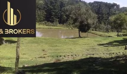 Sítio / Chácara para Venda no bairro AGUA AMARELA em ANTONIO OLINTO, 2 quartos, 4 vagas, 81000 m² de área total, 81000 m² privativos,
