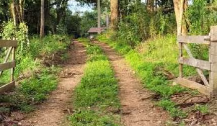 Sítio / Chácara para Venda no bairro PANGARE em QUITANDINHA, 3 quartos, 2 vagas, 79860 m² de área total, 79860 m² privativos,