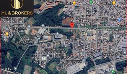 Imóvel Comercial para Venda no bairro Fazenda Velha em Araucária, 24700 m² de área total, 24700 m² privativos,