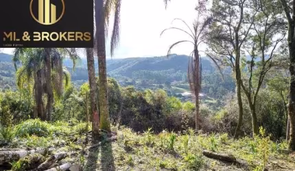 Sítio / Chácara para Venda no bairro São Luiz do Puruna em Balsa Nova, 20000 m² de área total, 20000 m² privativos,