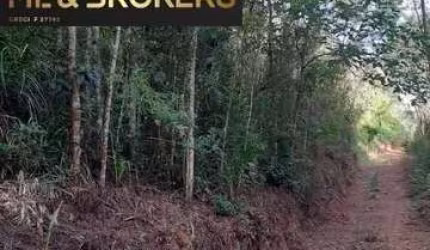 Sítio / Chácara para Venda no bairro Bateias em Campo Largo, Sem Mobília, 157385 m² de área total, 157385 m² privativos,