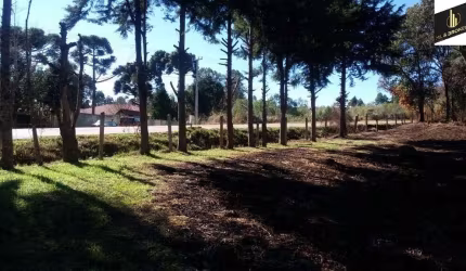 Sítio / Chácara para Venda no bairro PR 419 em Mandirituba, 3 quartos, 3 vagas, 24636 m² de área total, 24636 m² privativos,