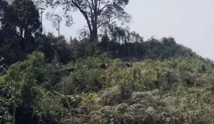 Sítio / Chácara para Venda no bairro ZONA RURAL em RIO BRANCO DO SUL, Sem Mobília, 40000 m² de área total, 40000 m² privativos,