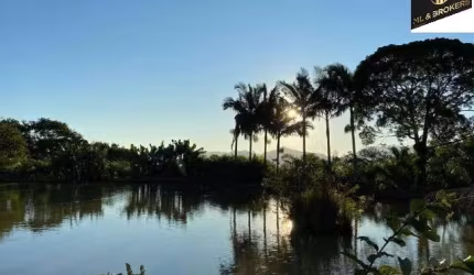 Sítio / Chácara para Venda no bairro ZONA RURAL em MASSARANDUBA, 2 quartos, 3 vagas, Semi-Mobiliado, 177000 m² de área total, 177000 m² privativos,