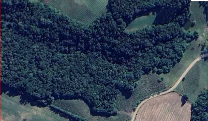 Sítio / Chácara para Venda no bairro ZONA RURAL em Balsa Nova, Sem Mobília, 41195 m² de área total, 41195 m² privativos,