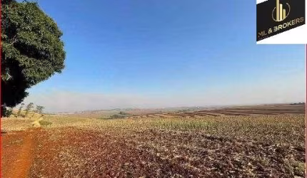 Sítio / Chácara para Venda no bairro Zona Rural em Ourizona, Sem Mobília, 822800 m² de área total, 822800 m² privativos,