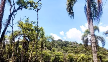 Sítio / Chácara para Venda no bairro RIBEIRÃO DO TIGRE em QUATRO BARRAS, 4 quartos, 4 vagas, 20000 m² de área total, 20000 m² privativos,