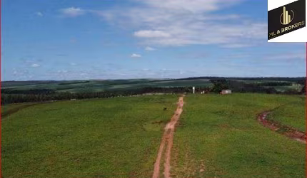 Fazenda para Venda no bairro ZONA RURAL em Ivaté, 3 quartos, 5 vagas, 2117500 m² de área total, 2117500 m² privativos,