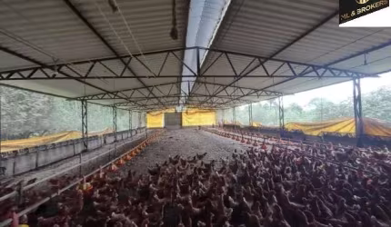 Sítio / Chácara para Venda no bairro ZONA RURAL em CAMPINA GRANDE DO SUL, 3 quartos, 5 vagas, Semi-Mobiliado, 114000 m² de área total, 114000 m² privativos,