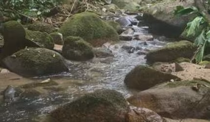 Sítio / Chácara para Venda no bairro COLONIA QUINTILHA em PARANAGUA, Sem Mobília, 160000 m² de área total, 160000 m² privativos,