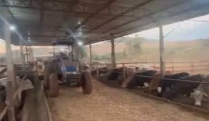 Sítio / Chácara para Venda no bairro Área Rural de Londrina em Londrina, 4 quartos, 5 vagas, Semi-Mobiliado, 242000 m² de área total, 242000 m² privativos,