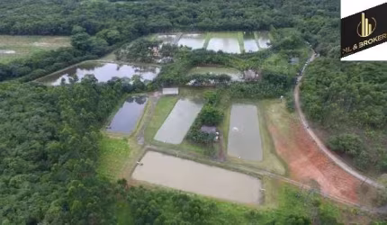 Sítio / Chácara para Venda no bairro COLONIA QUINTILHA em PARANAGUA, 3 quartos sendo 1 suíte, 10 vagas, Mobiliado, 109816 m² de área total, 109816 m² privativos,