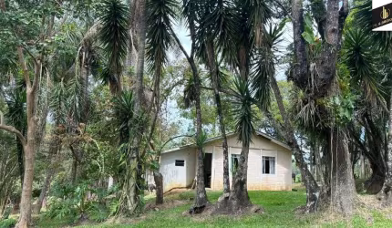 Sítio / Chácara para Venda no bairro Zona Rural em Reserva, 3 quartos, 5 vagas, Semi-Mobiliado, 375100 m² de área total, 375100 m² privativos,