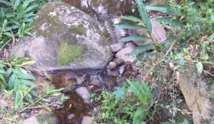 Sítio / Chácara para Venda no bairro ZONA RURAL em CERRO AZUL, 41370 m² de área total, 41370 m² privativos,