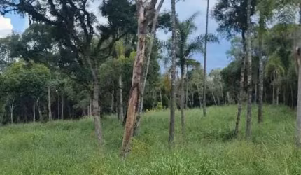 Sítio / Chácara para Venda no bairro Zona Rural em Imbituva, 508000 m² de área total, 508000 m² privativos,