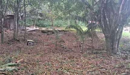 Sítio / Chácara para Venda no bairro Zona Rural em ANTONINA, 229500 m² de área total, 229500 m² privativos,