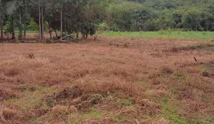 Sítio / Chácara para Venda no bairro Maria Luiza em PARANAGUA, Sem Mobília, 54000 m² de área total, 54000 m² privativos,