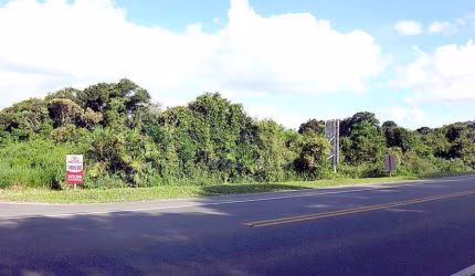 Terreno à venda, 810 m² por R$ 550.000,00 - Eliana - Guaratuba/PR