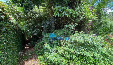 Terreno à venda, 1600 m² por R$ 290.000 - Condomínio Chácara do Rosário - Cajamar/SP