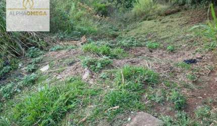 Terreno à venda, 221 m² por R$ 129.990,00 - Panorama (Polvilho) - Cajamar/SP