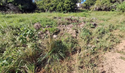 Terreno no Mosqueiro 2200m²