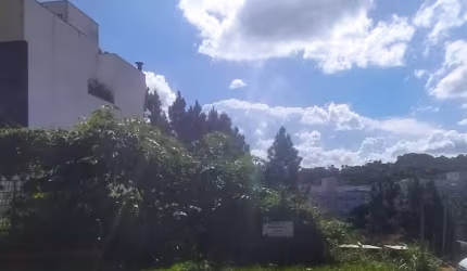 Lote / Terreno - São Pedro