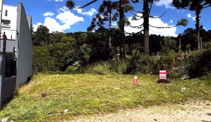 terreno em Monte Bérico