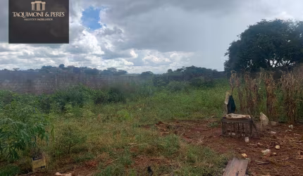 Lote de  446 metros, murado, aterrado e com portão!