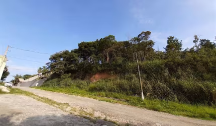 OPORTUNIDADE LOTE PRÓXIMO RODOVIA
