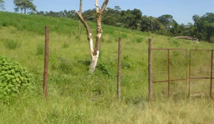 Terreno Jardim Paineira Itaquaquecetuba/SP
