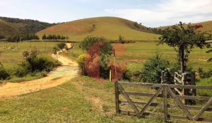 Fazenda de leite e corte 105 alqueires para venda - Bairro dos Macacos