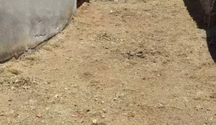 Terreno para Venda em Itaquaquecetuba, Jardim do Vale