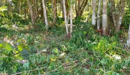 Terreno Rural para Venda em Mogi das Cruzes, Taiacupeba