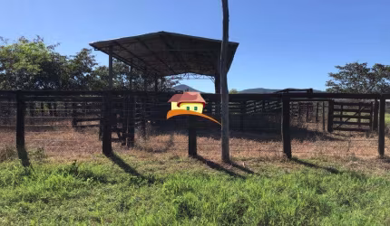 Fazenda para Venda em Paraíso do Tocantins