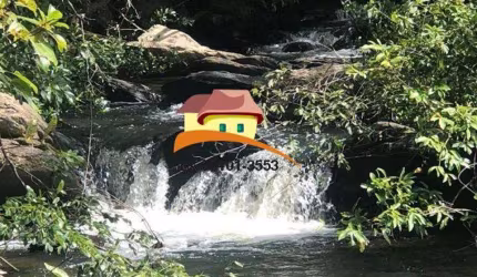 Fazenda para Venda em Almas, Setor Central